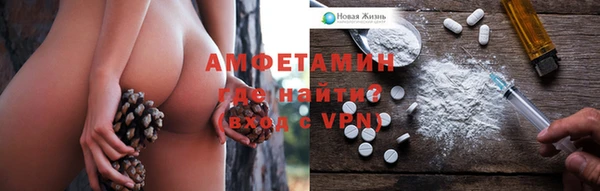 прущие грибы Каменногорск
