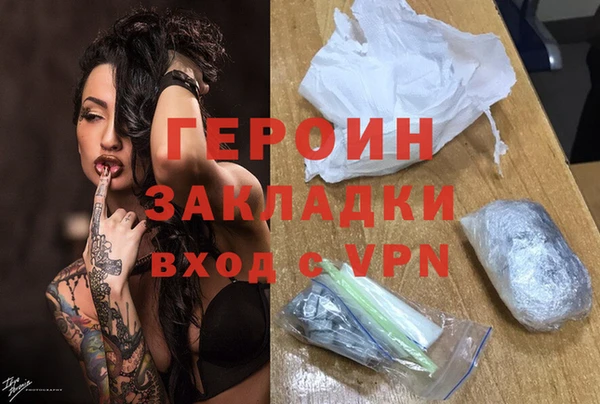 прущие грибы Каменногорск