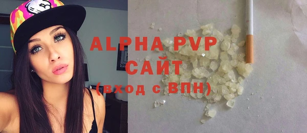 прущие грибы Каменногорск