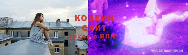 прущие грибы Каменногорск