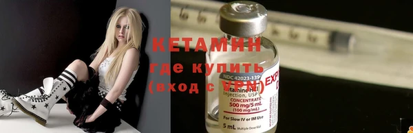прущие грибы Каменногорск