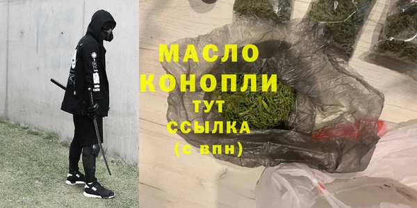 прущие грибы Каменногорск