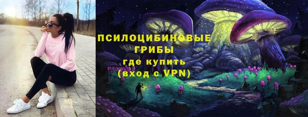 прущие грибы Каменногорск