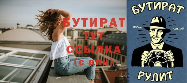 прущие грибы Каменногорск