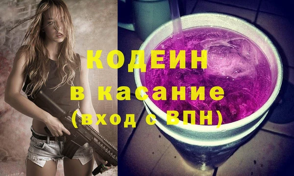 прущие грибы Каменногорск