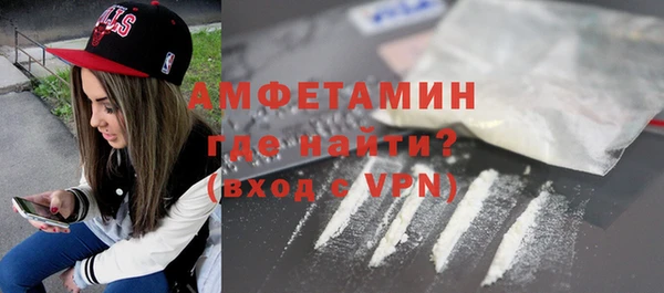 прущие грибы Каменногорск