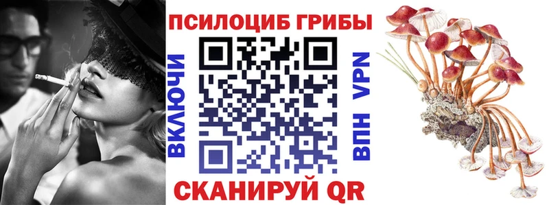 Галлюциногенные грибы Psilocybe  Купить где  Гаврилов-Ям 